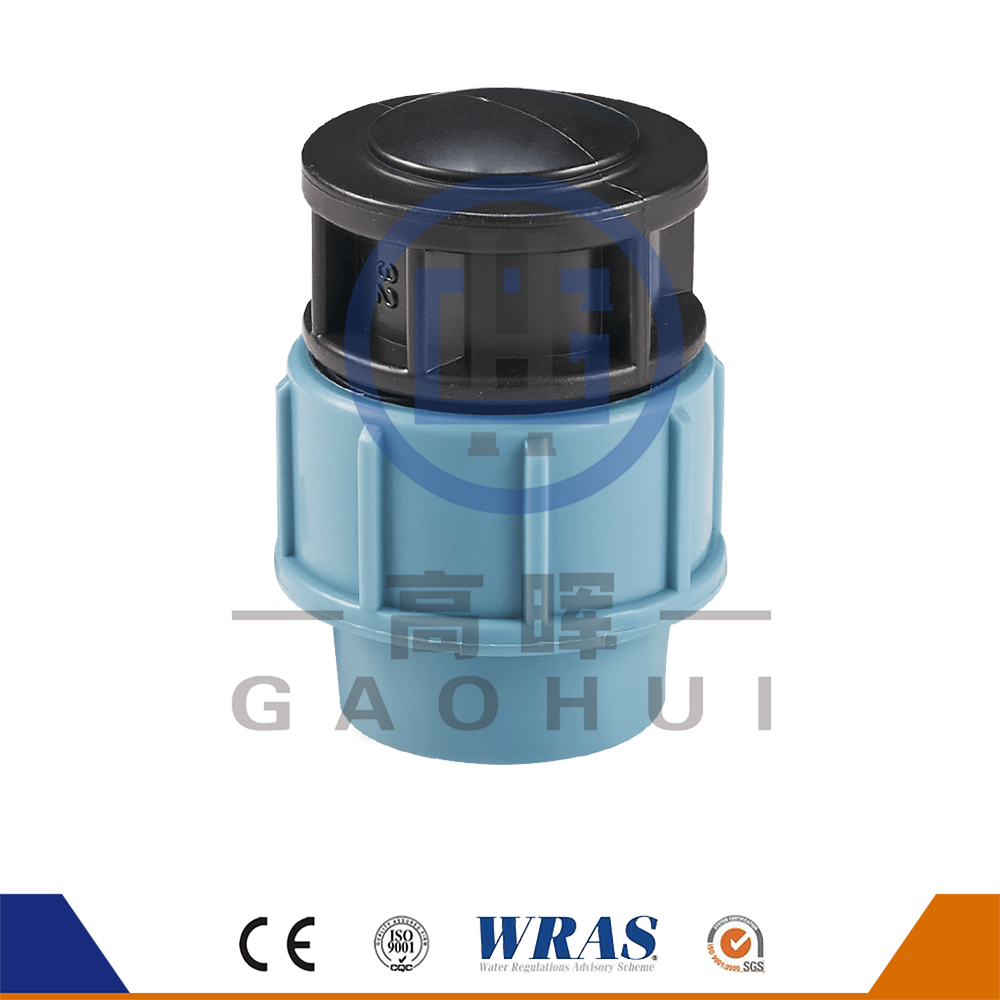 Phiên bản Ý PP End Cap P-038