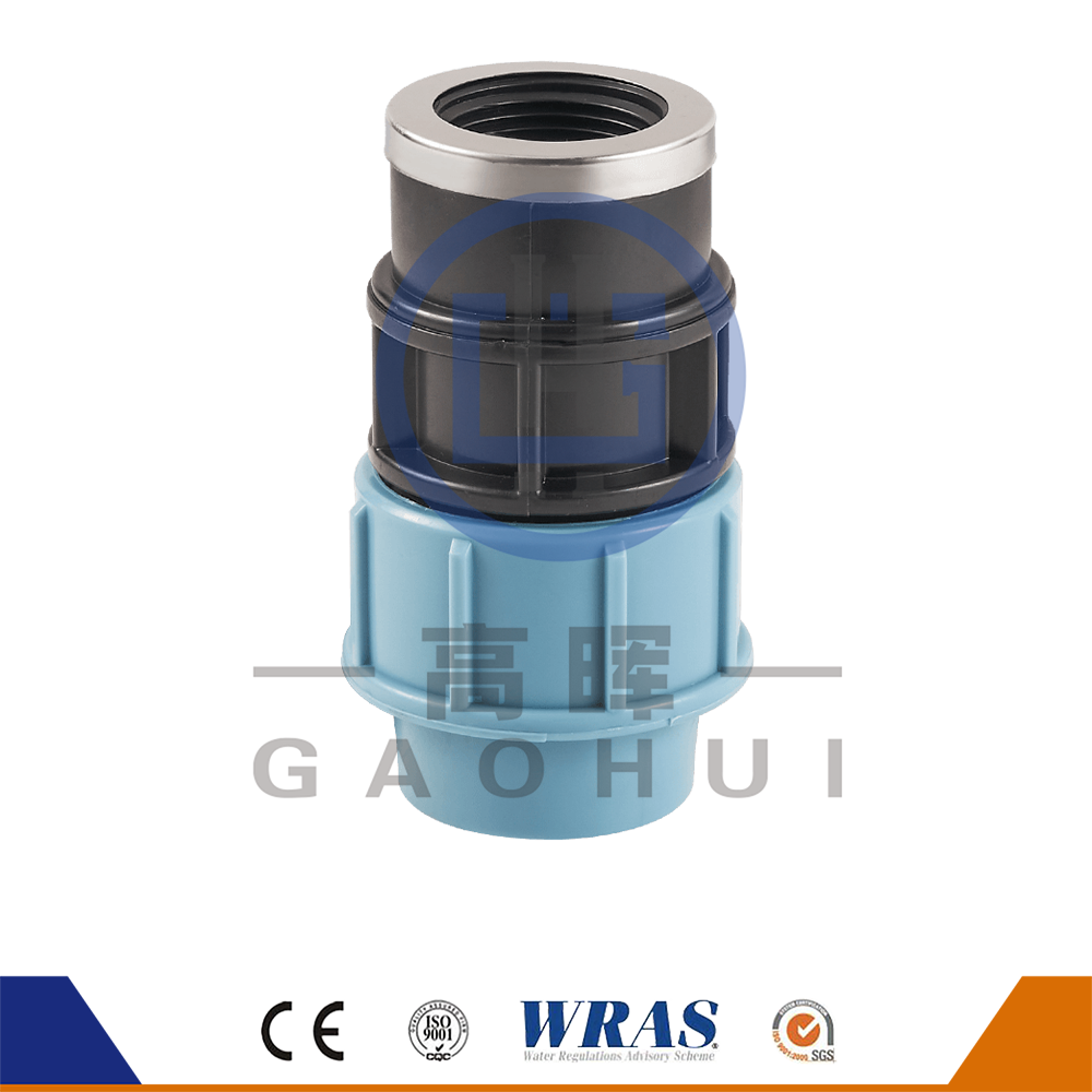 Phiên bản Ý PP Coupler nữ P-030