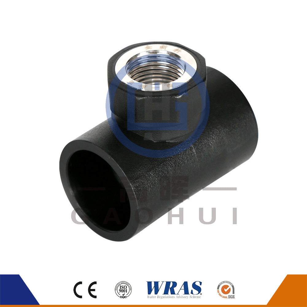 Tee chủ đề nữ hdpe