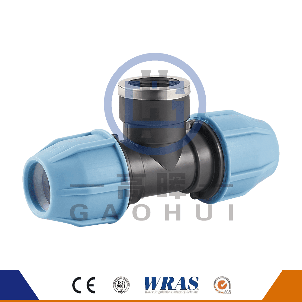 Đầu tròn pp nữ tee p-025