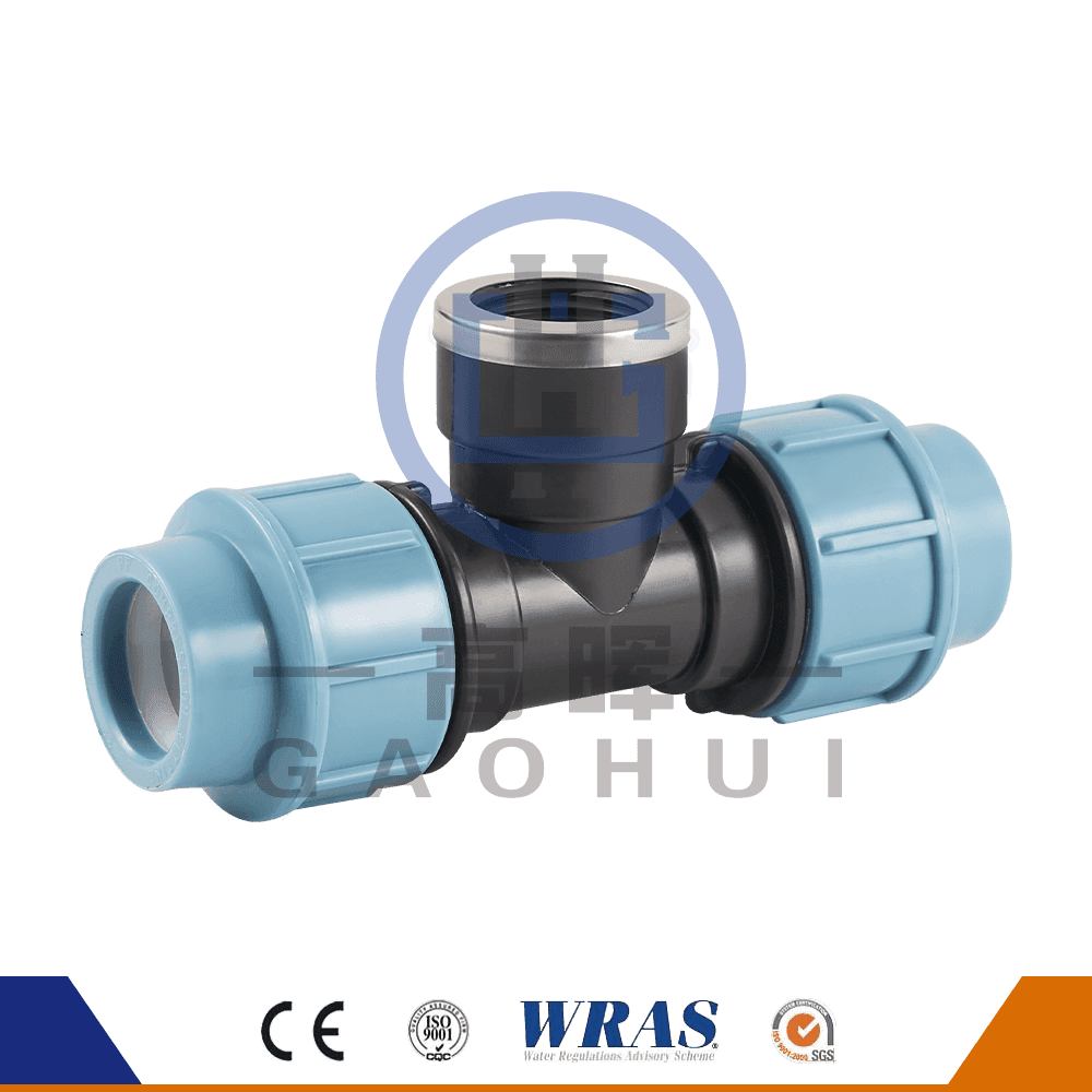 Phiên bản tiếng Ý pp nữ thee p-037