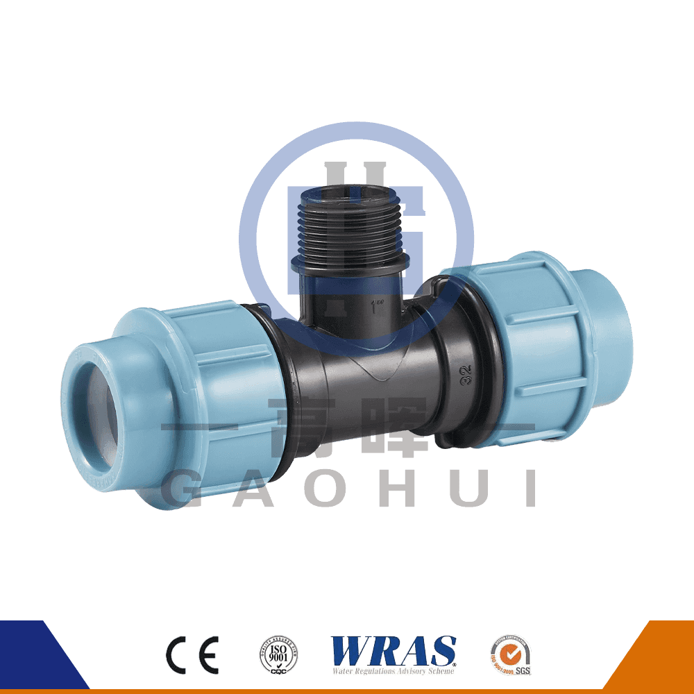 Phiên bản tiếng Ý pp nam thee p-036