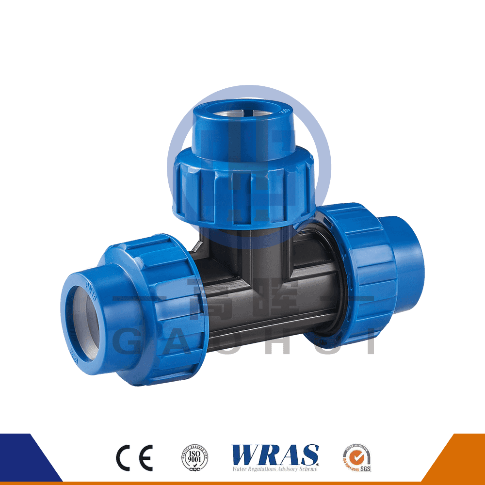 Phiên bản tiếng Tây Ban Nha pp bằng tee p-046