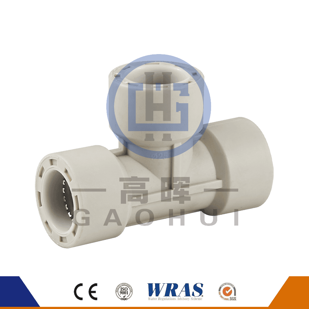 Pp bằng tee p-009